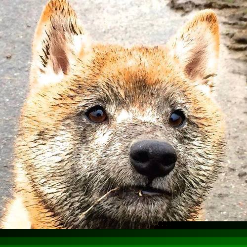 当德罗赞在欧洲上演科比式接管，我们该思考，现代篮球，究竟需要什么样的英雄？